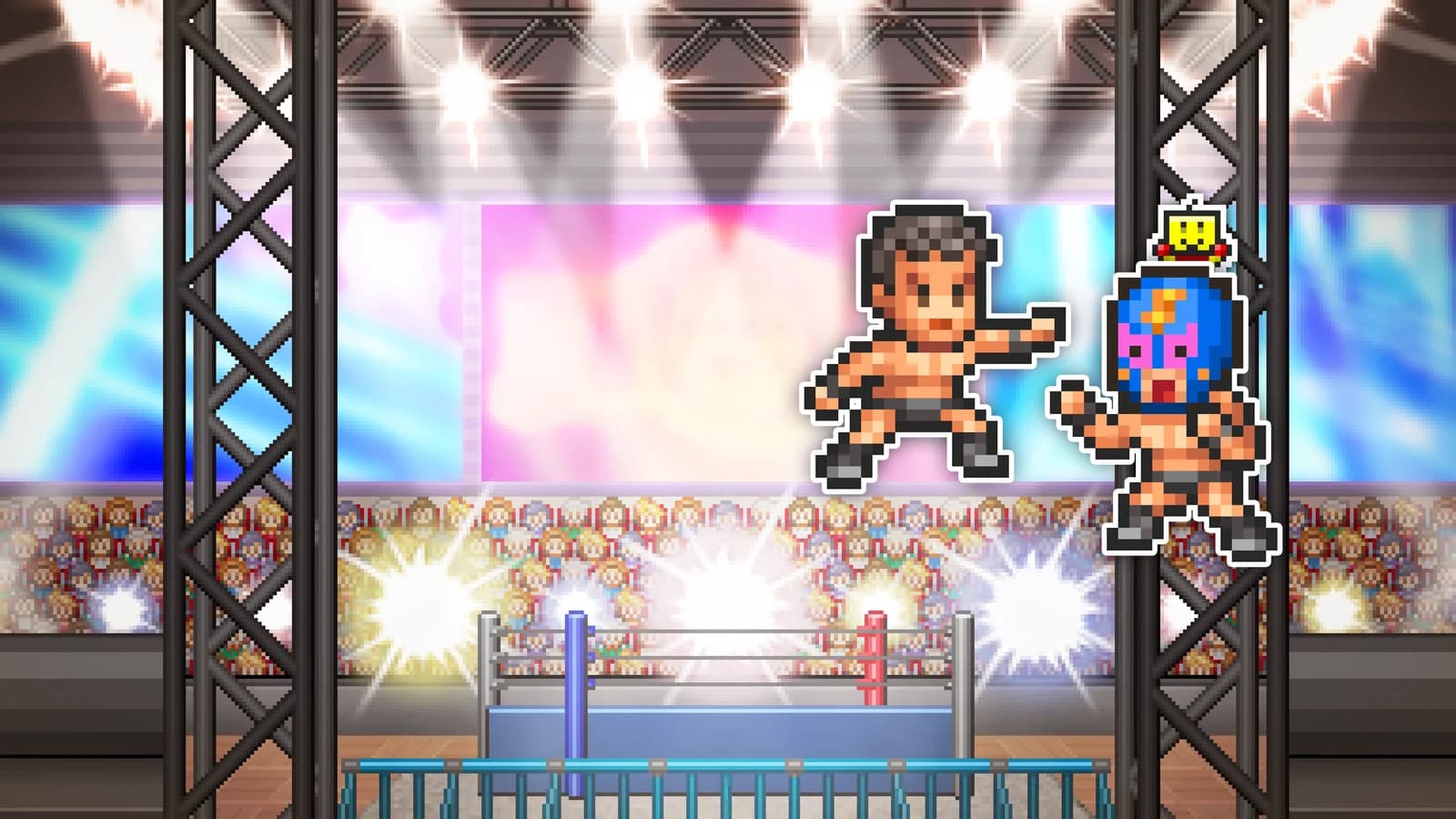 Pro Wrestler Story